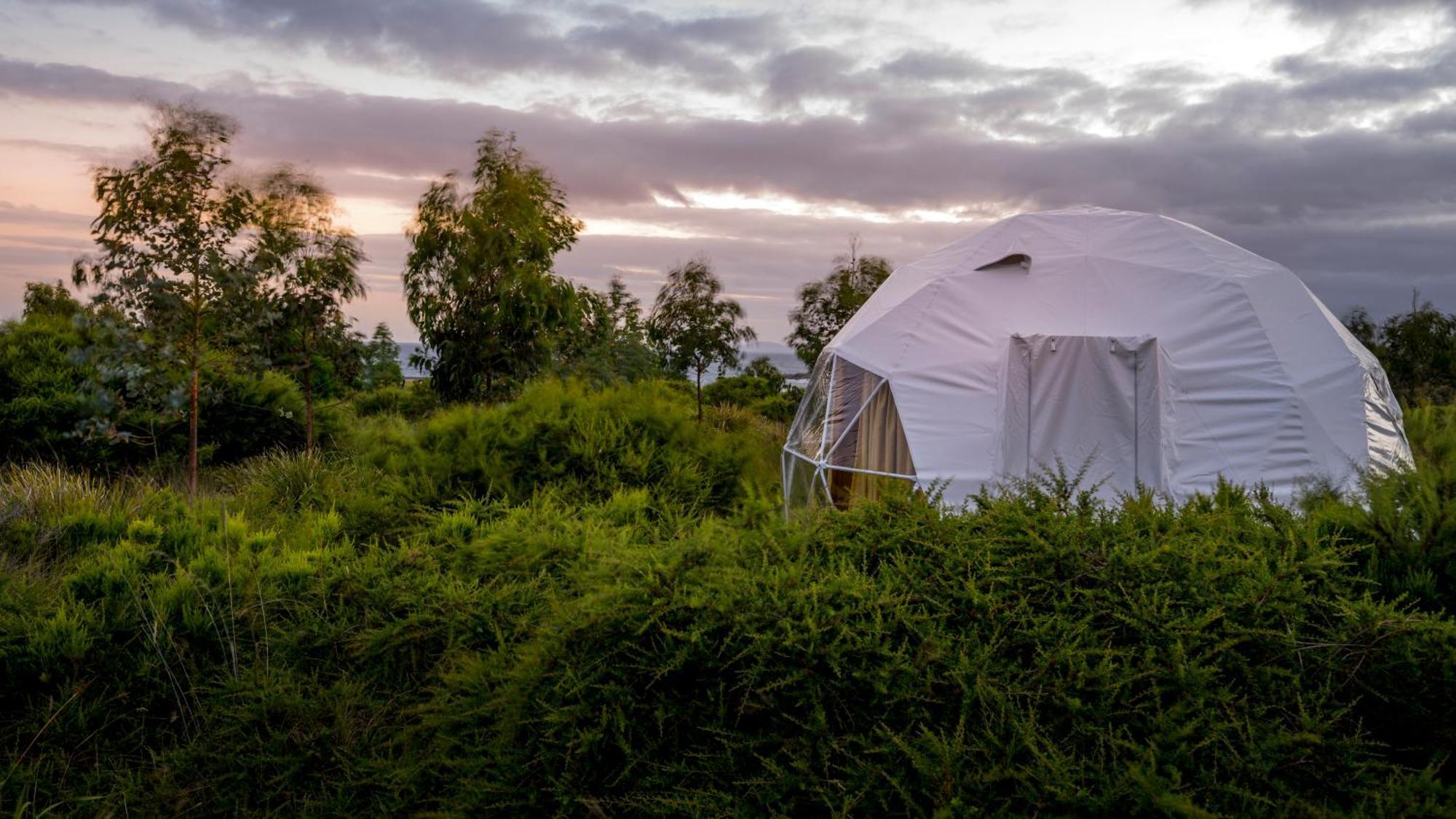 Luxury tent Little Four Mile Creek
